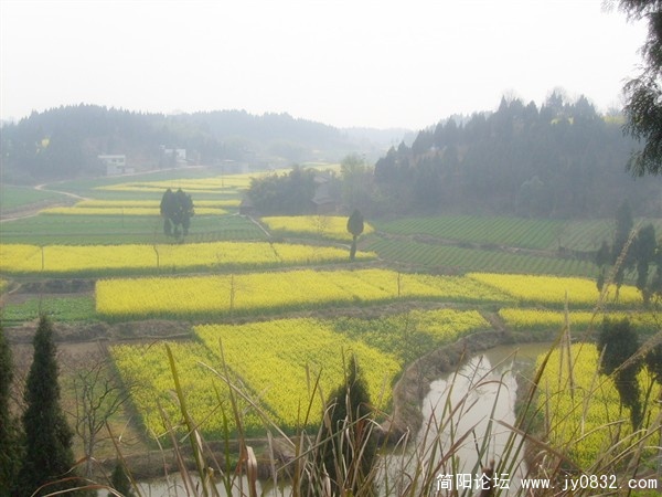 s7300800_副本.jpg