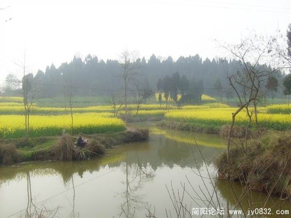 s7300769_副本.jpg