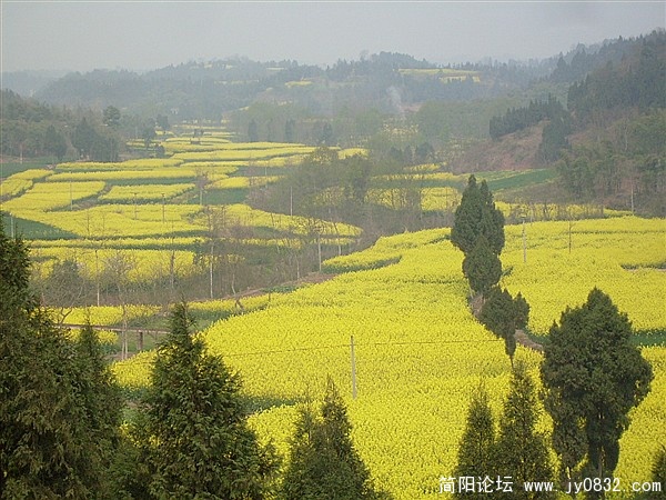 s7300817_副本.jpg