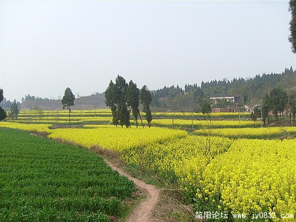s7300824_副本.jpg