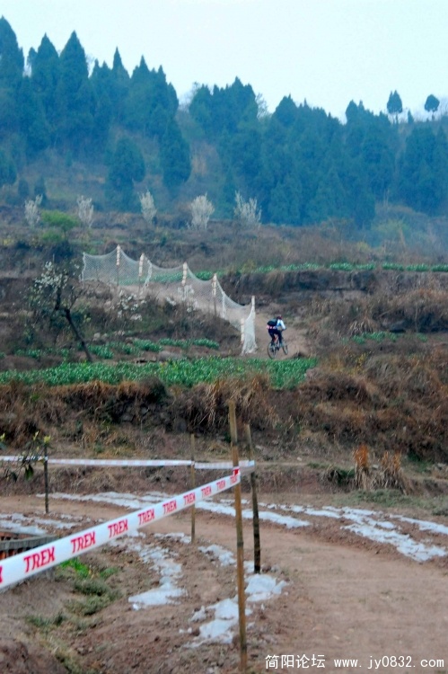 DSC_8329.JPG