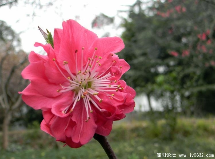 照片 001.jpg