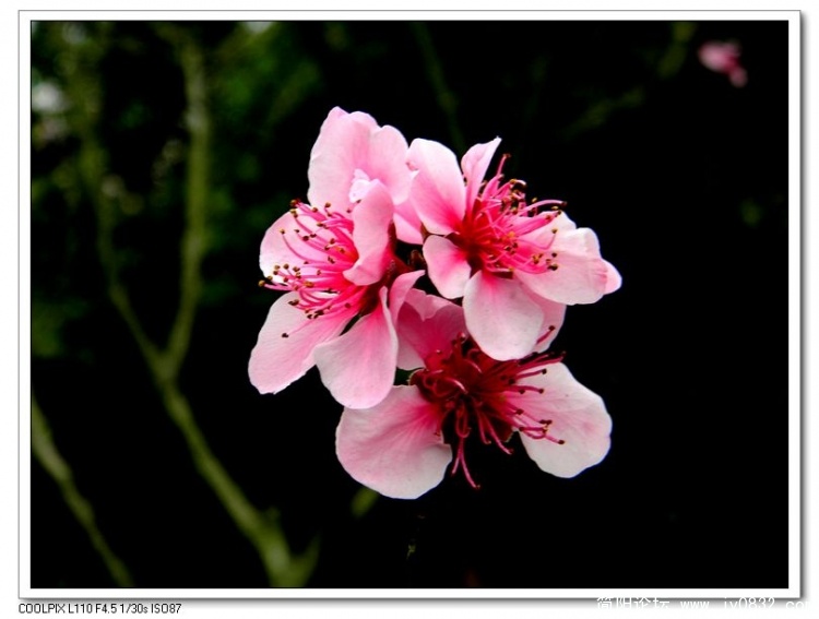 照片 010.jpg