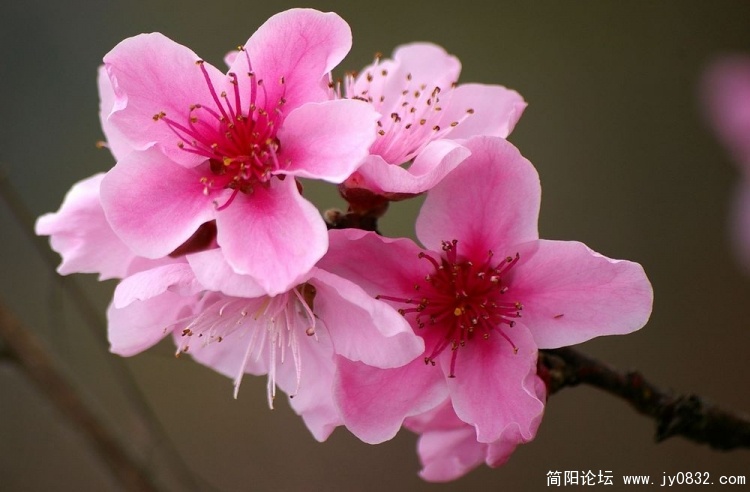 IMGP5354.JPG