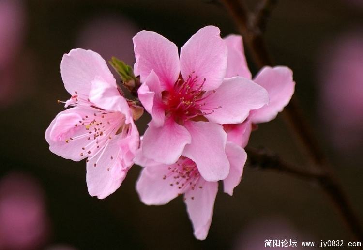IMGP5361.JPG