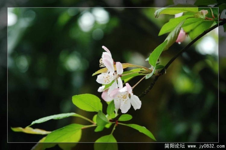 DSC_6162.JPG