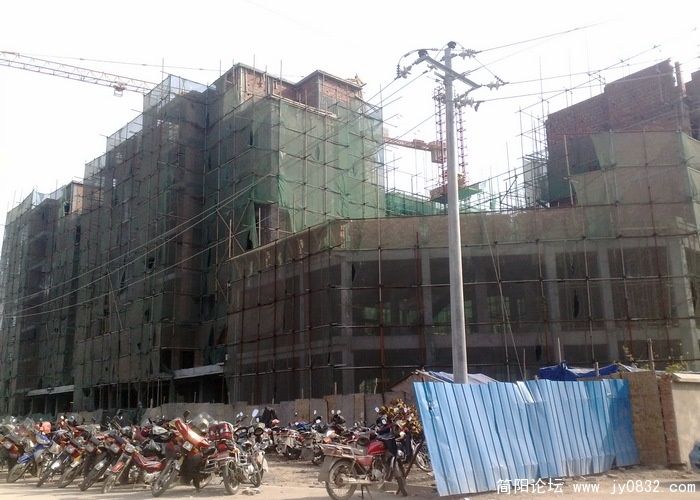 201003174061.jpg