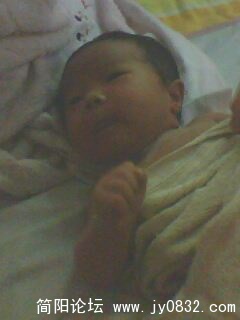 IMG0047A.jpg