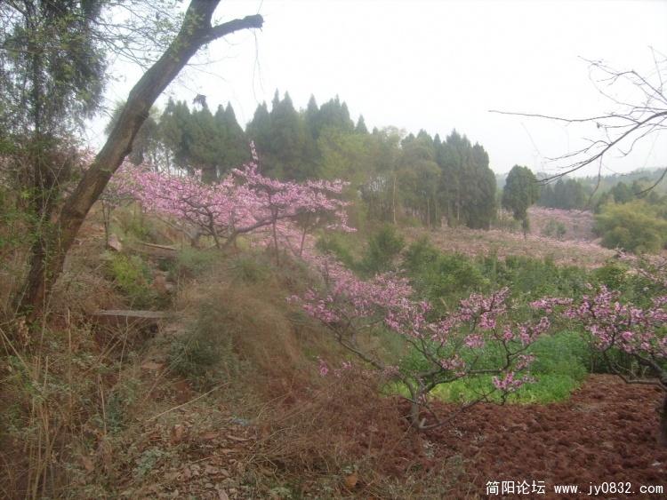 S7301341.JPG