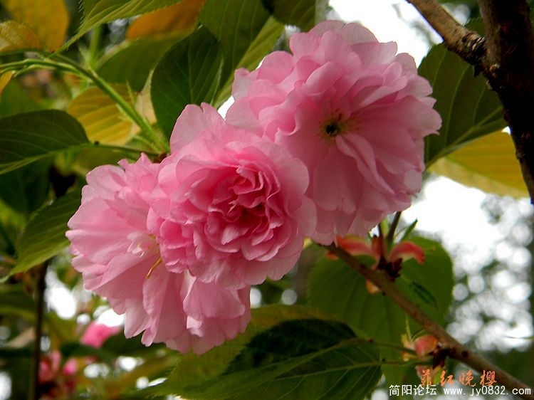 照片 035.jpg