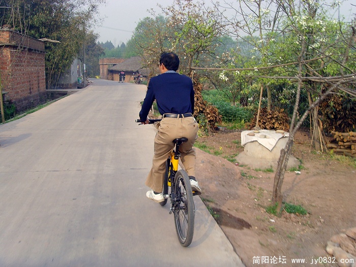 SNV30030.jpg