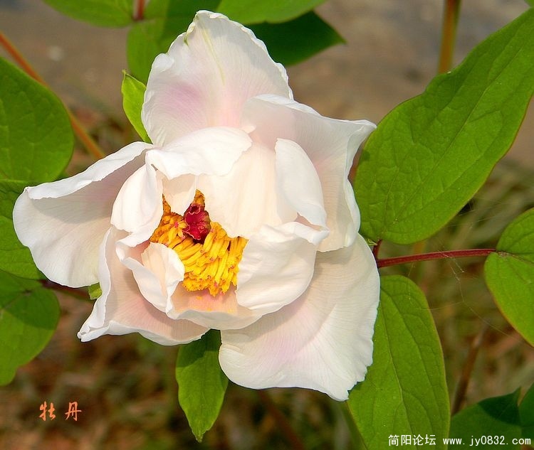照片 040.jpg