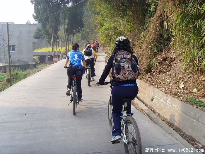 SNV30041.jpg