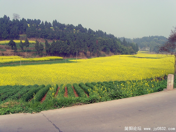 SNV30050.jpg