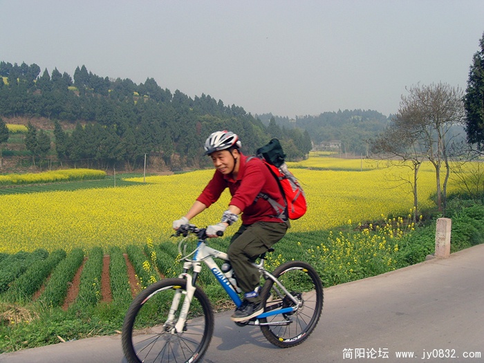 SNV30052.jpg