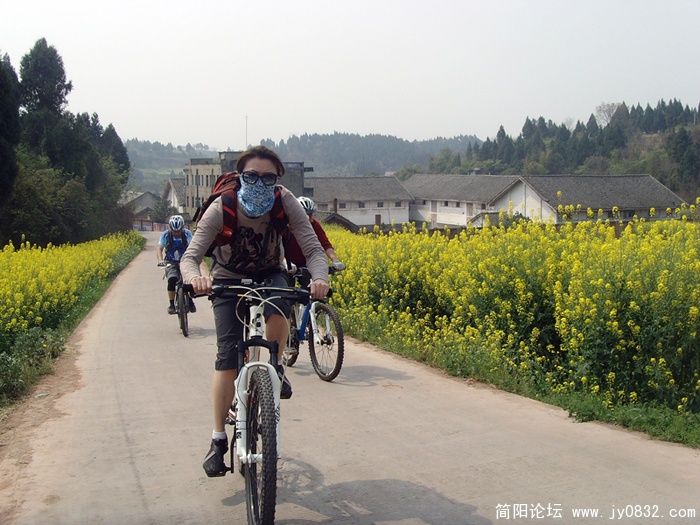SNV30079.jpg