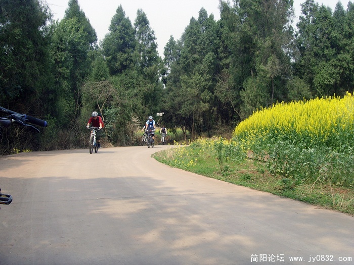 SNV30083.jpg