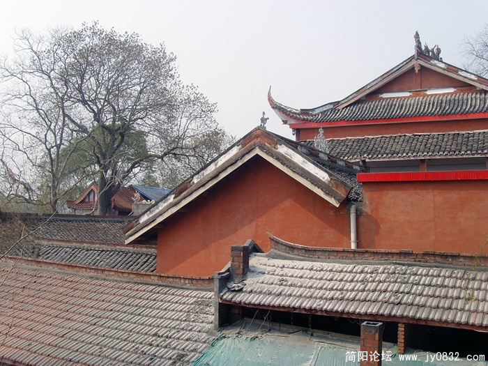 SNV30113.jpg