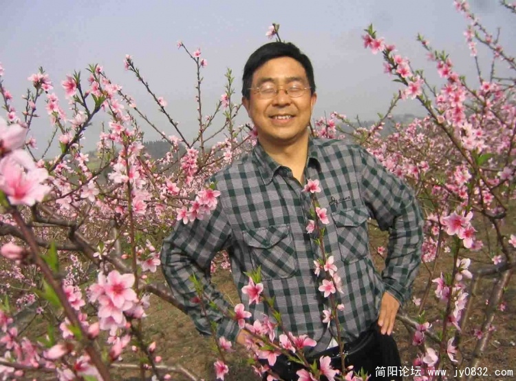 三月春风扑面来，遍地桃花为谁开？