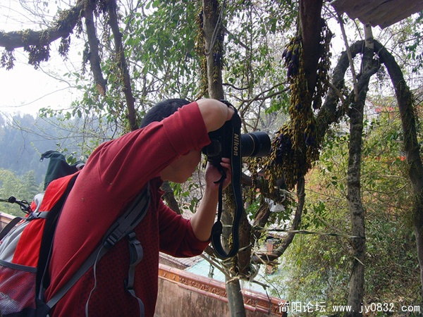 SNV30112.jpg
