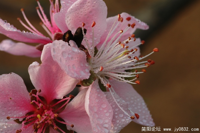 DSC_6721.JPG