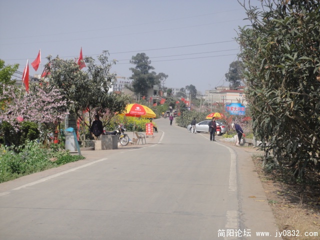 DSC00557.JPG
