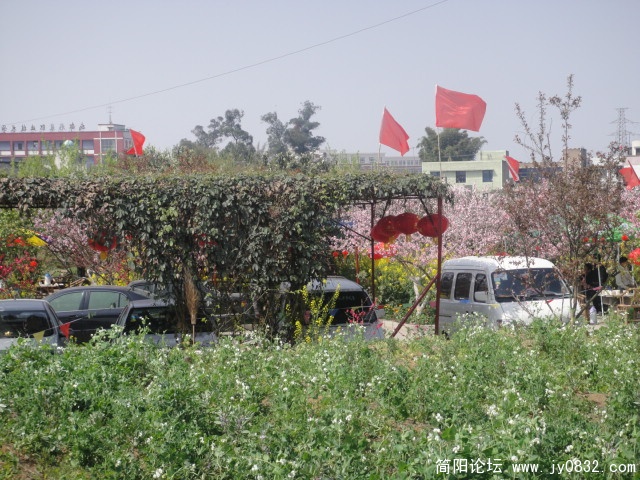 DSC00556.JPG