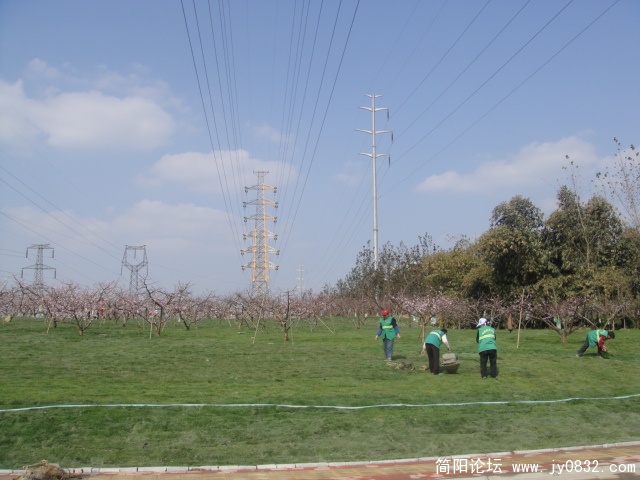 DSC00587.JPG