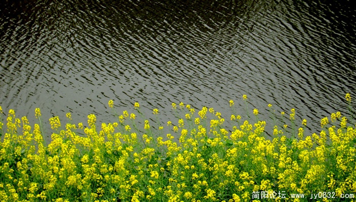 絳溪河小景 (1).jpg