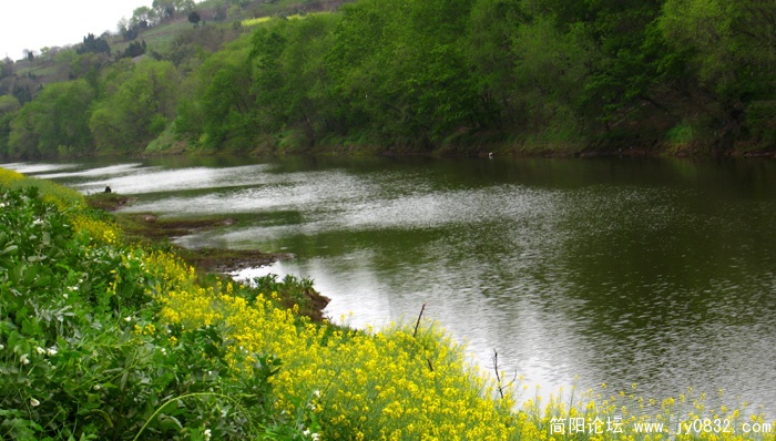 絳溪河小景 (2).jpg