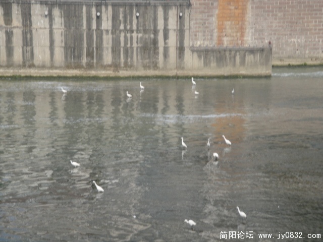 DSC00599.JPG