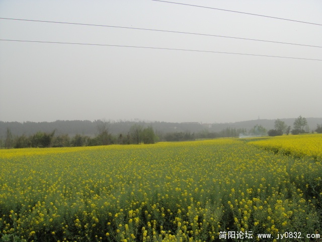 DSC00646.JPG