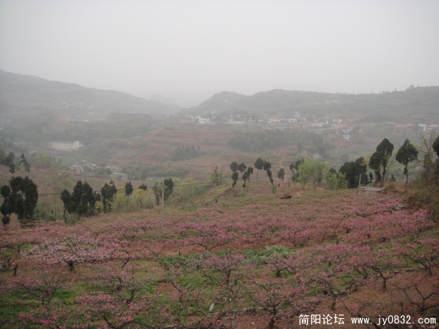 DSC00650.JPG