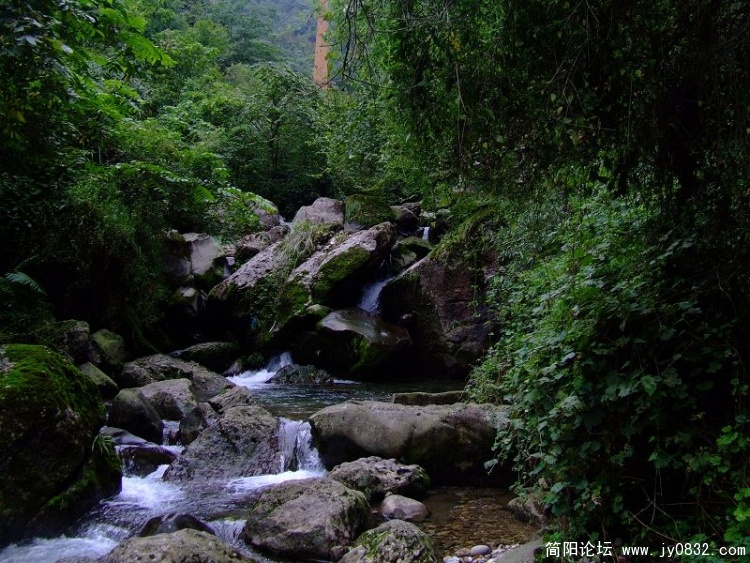 DSCF0410.JPG