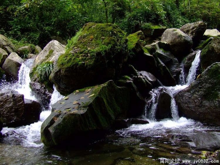 DSCF0411.JPG