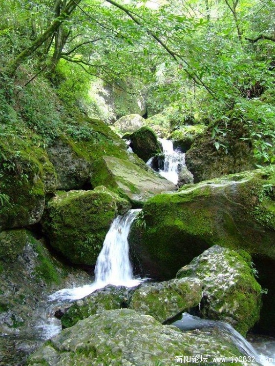DSCF0484.JPG
