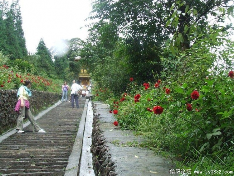 DSCF0631.JPG