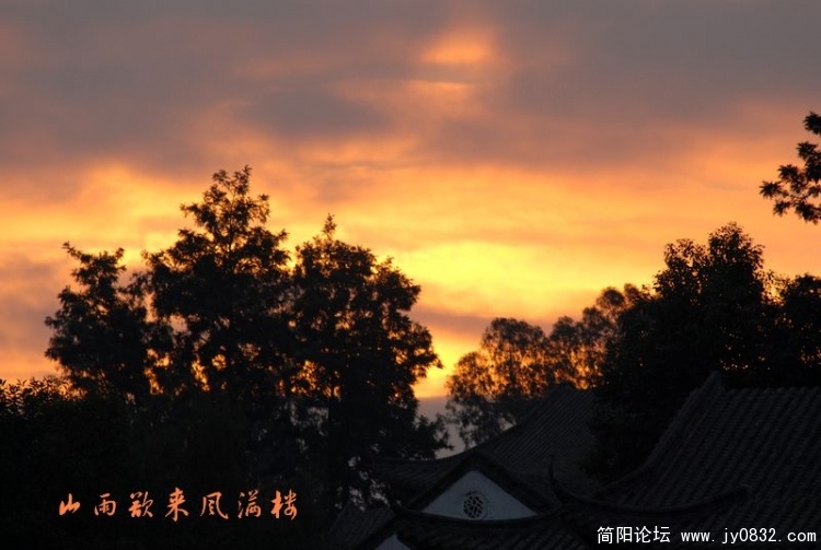 清晨的风··