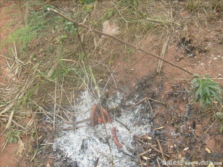 S7301489.JPG