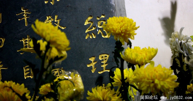 照片 437.jpg