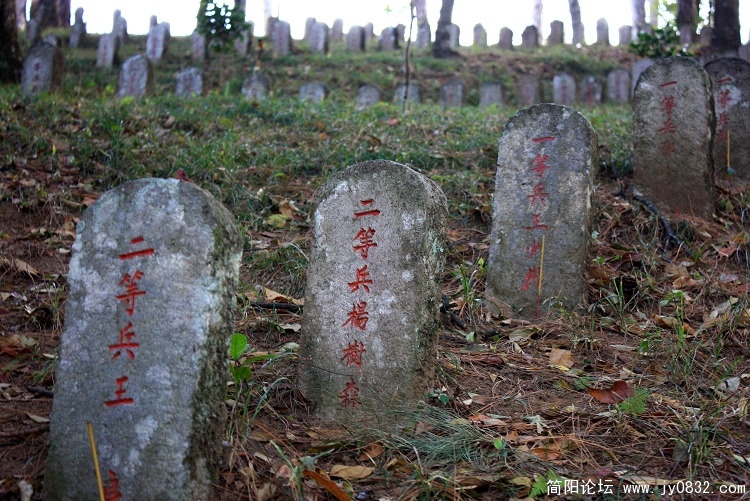 照片 442.jpg
