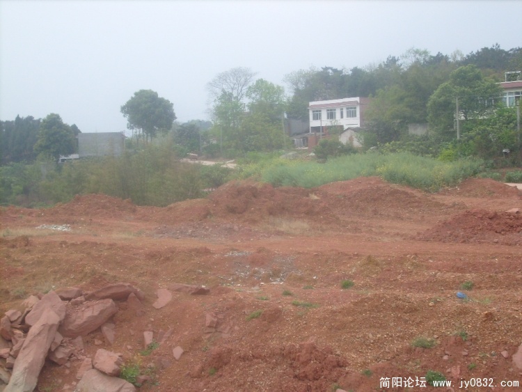 S7301645.JPG