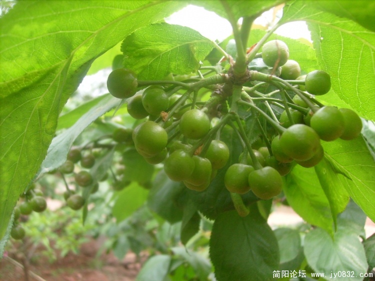S7301655.JPG