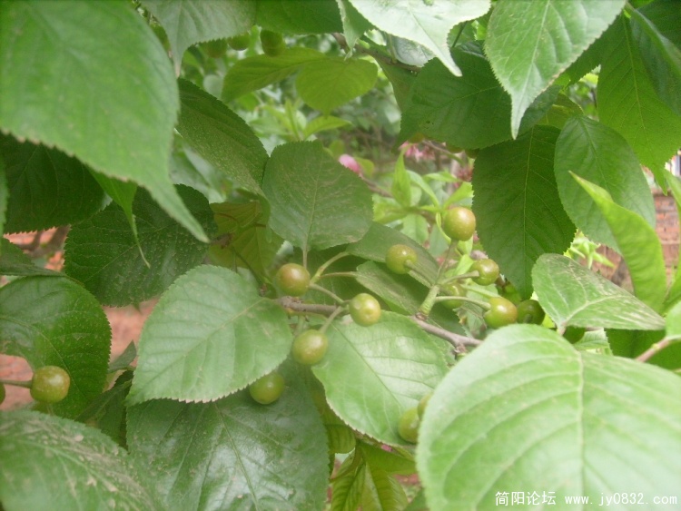 S7301650.JPG