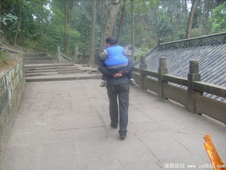S7301528.JPG