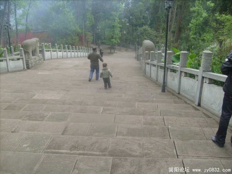 S7301584.JPG
