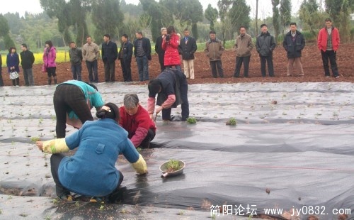 未命名2.jpg