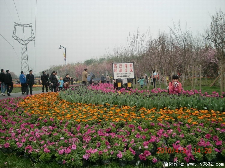 CIMG0748.JPG