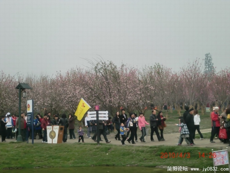CIMG0751.JPG