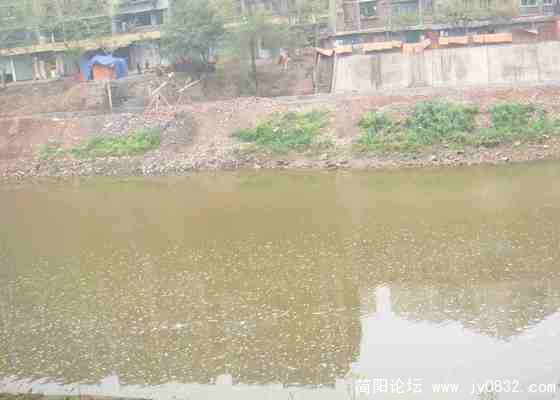 还是污水.jpg
